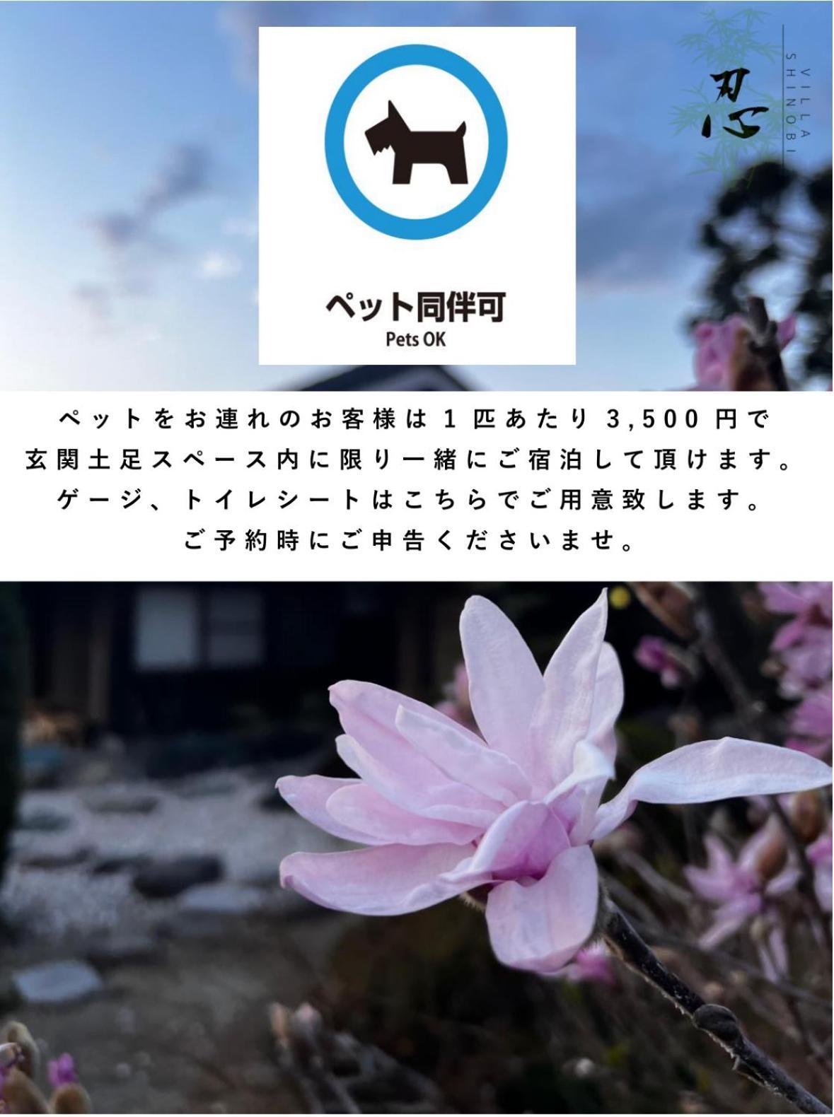 Villa Shinobi -忍- Hinase Bagian luar foto